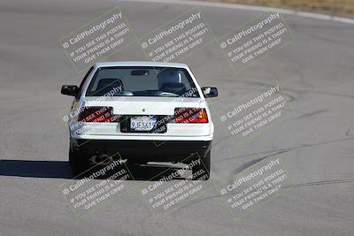 media/Nov-19-2023-Extreme Speed (Sun) [[bd0eec5490]]/Purple/Back Shots/